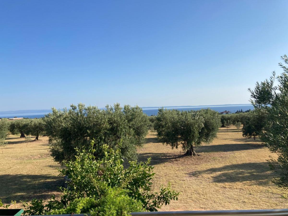 Villa Giannoula ゲラキニ エクステリア 写真