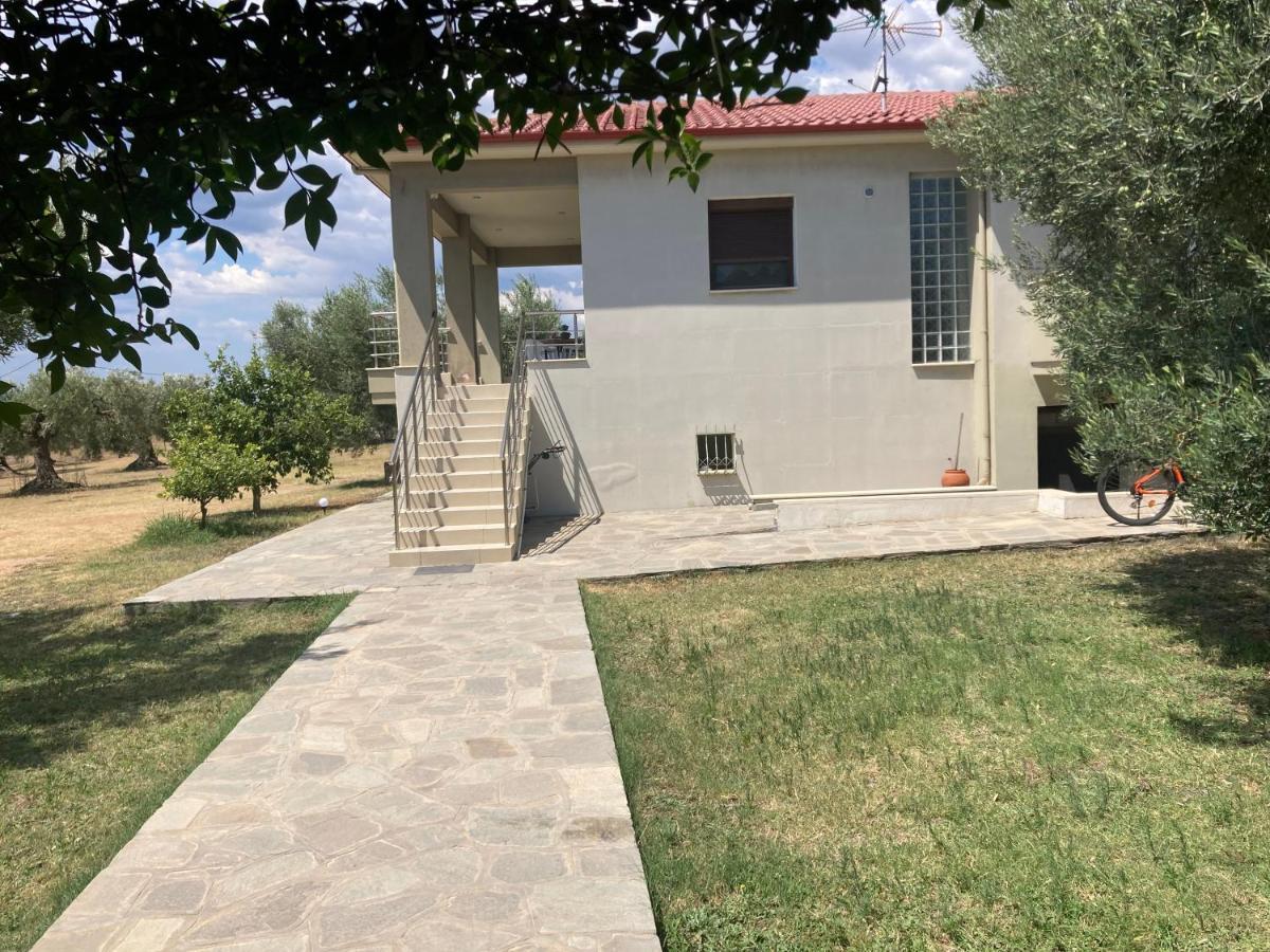 Villa Giannoula ゲラキニ エクステリア 写真
